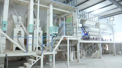 “碰網觸電”拓銷路，黃陂大米借力電商升級設備銷售